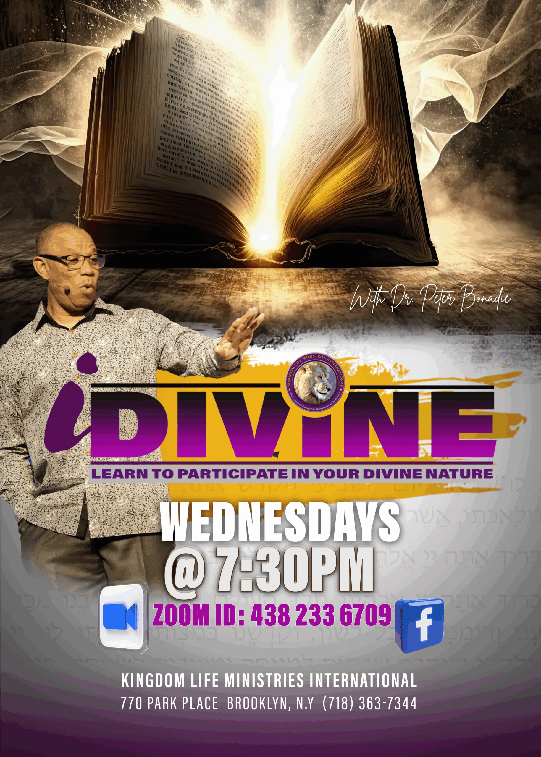 i Divine flyer 2